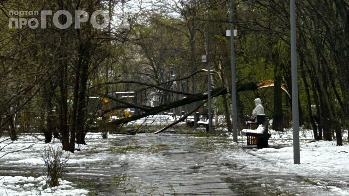 Апрельский снегопад — только начало: что обещают синоптики на майские праздники