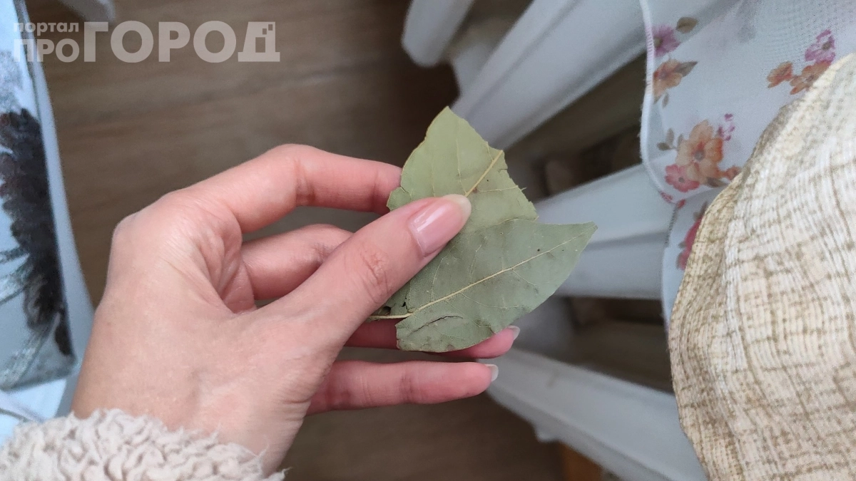 Бросили лавровый лист в суп — и всё пропало: 7 блюд, которые он испортит навсегда