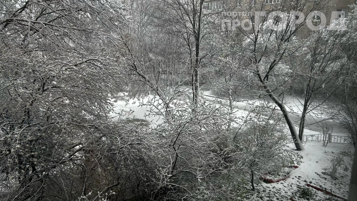 Циклон Илви против Центральной России: снег, ветер и хаос — сколько ещё терпеть