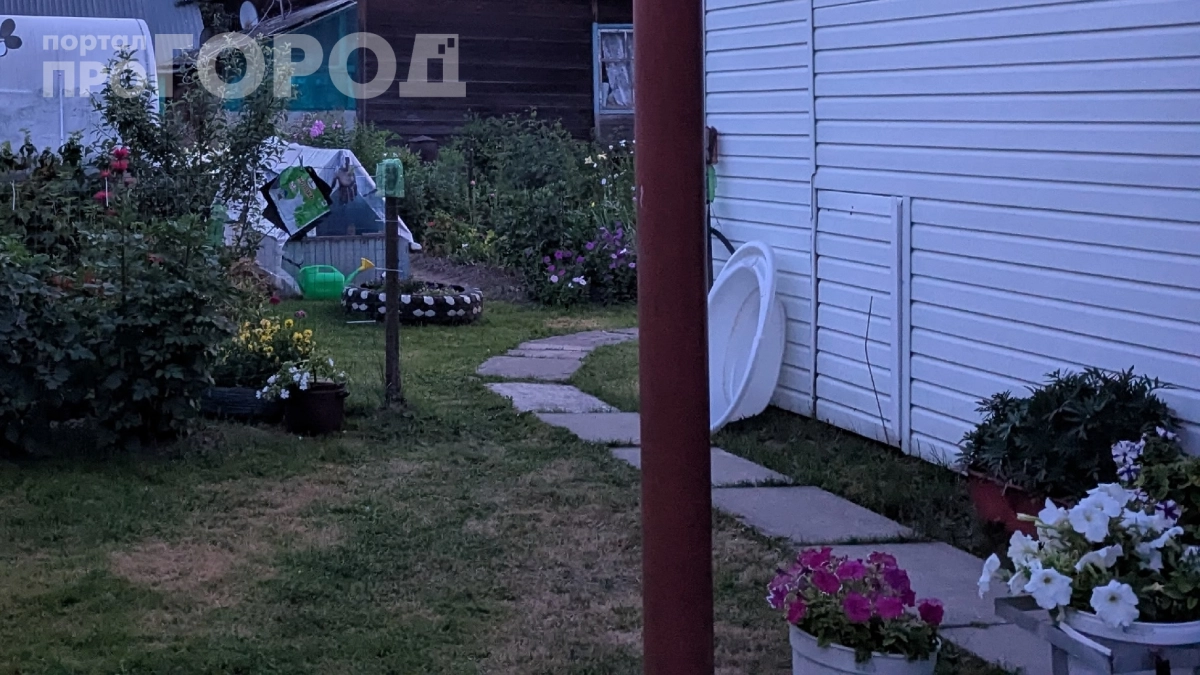 Борьба с травой между плитками — больше не рутина: 2 быстрых решения для идеальной дорожки — без химии и лопаты