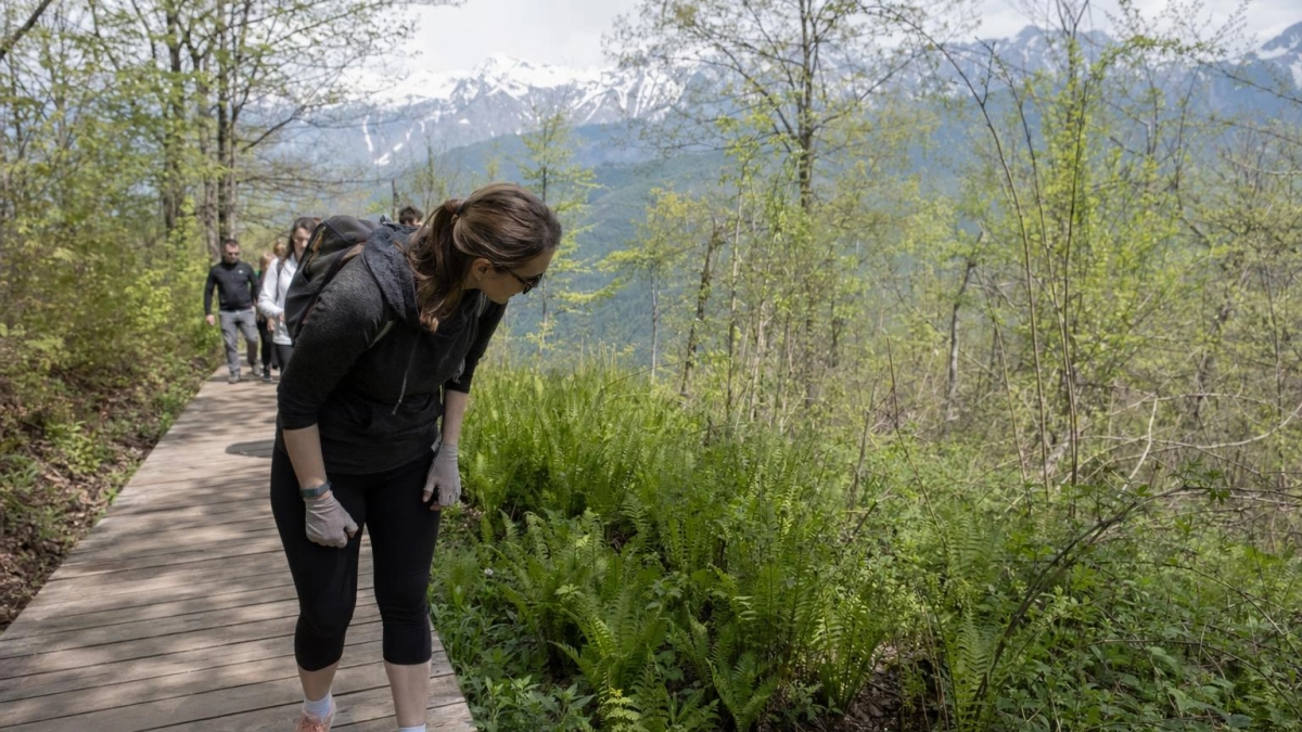 Сезон хайкинга открылся в «Красной Поляне»: первые маршруты уже доступны