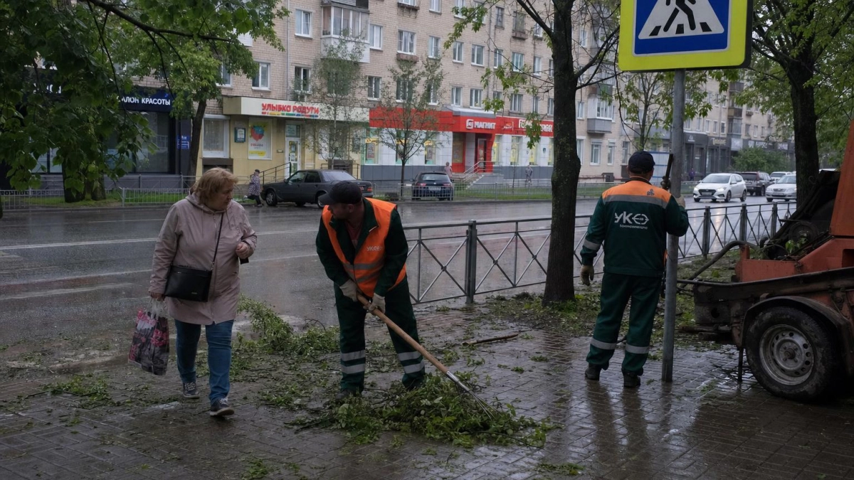 Ветер до 29 м/с повалил деревья и обесточил районы Новороссийска