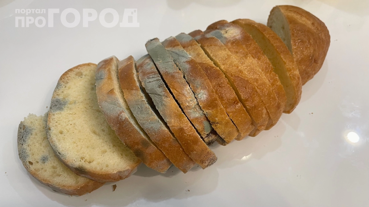 Заплесневелый хлеб — сокровище для огорода: как превратить отходы в мощное удобрение