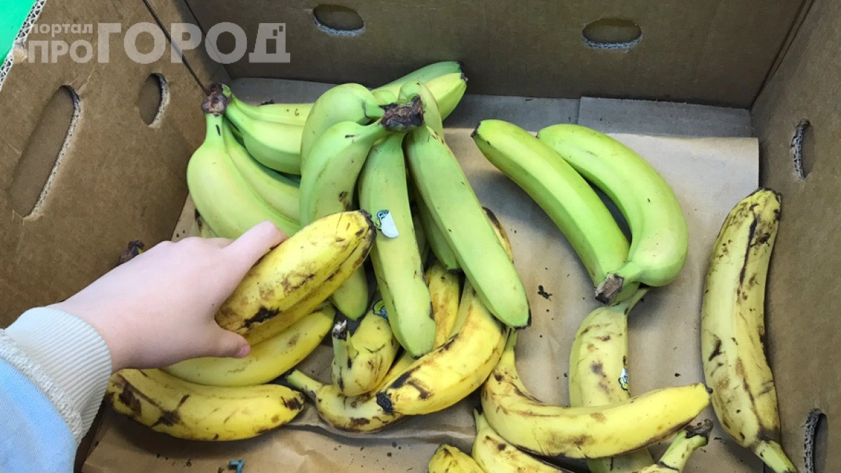 Собираю даже черные бананы и вот почему: тля сбежит в ужасе — простой и дешёвый способ защитить урожай