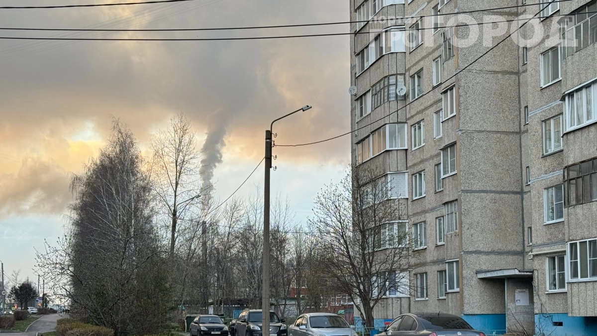 Черемуховые холода уходят: синоптик рассказал, когда будут последние дождливые выходные весны