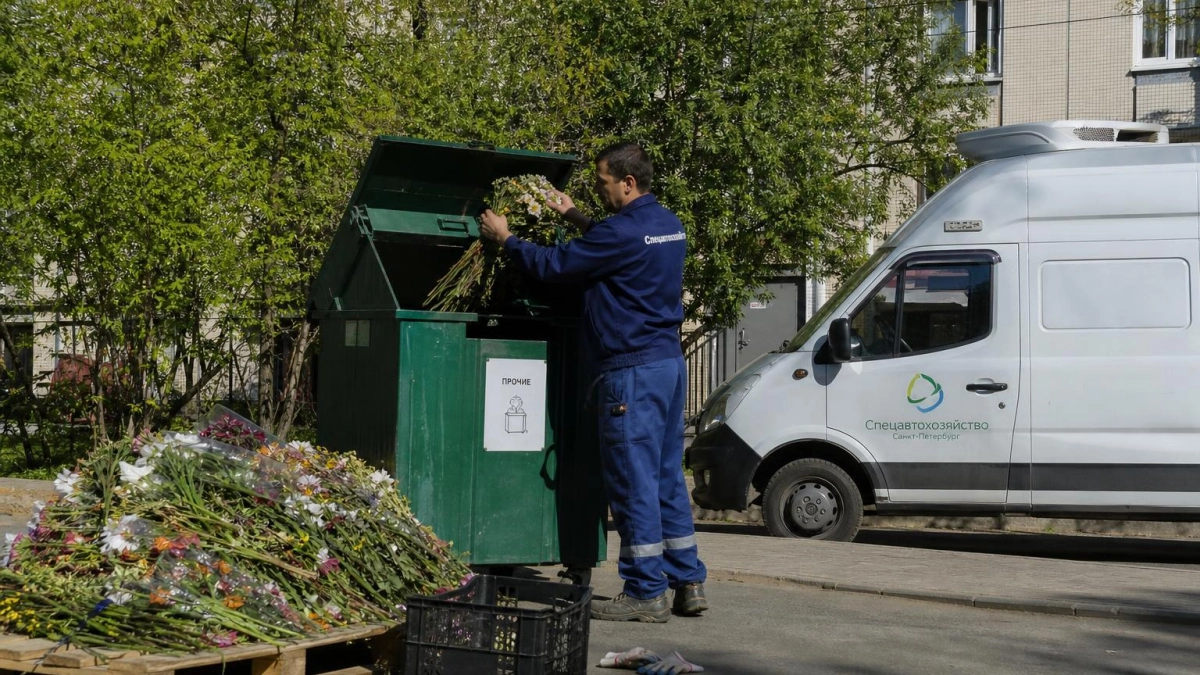 В Сочи уничтожили 400 штук альстромерии с карантинным вредителем