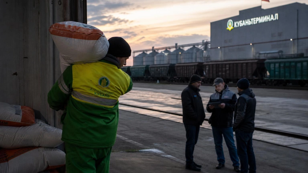 Краснодарский край экспортировал 8,3 млн т пшеницы за квартал — рост на 60%