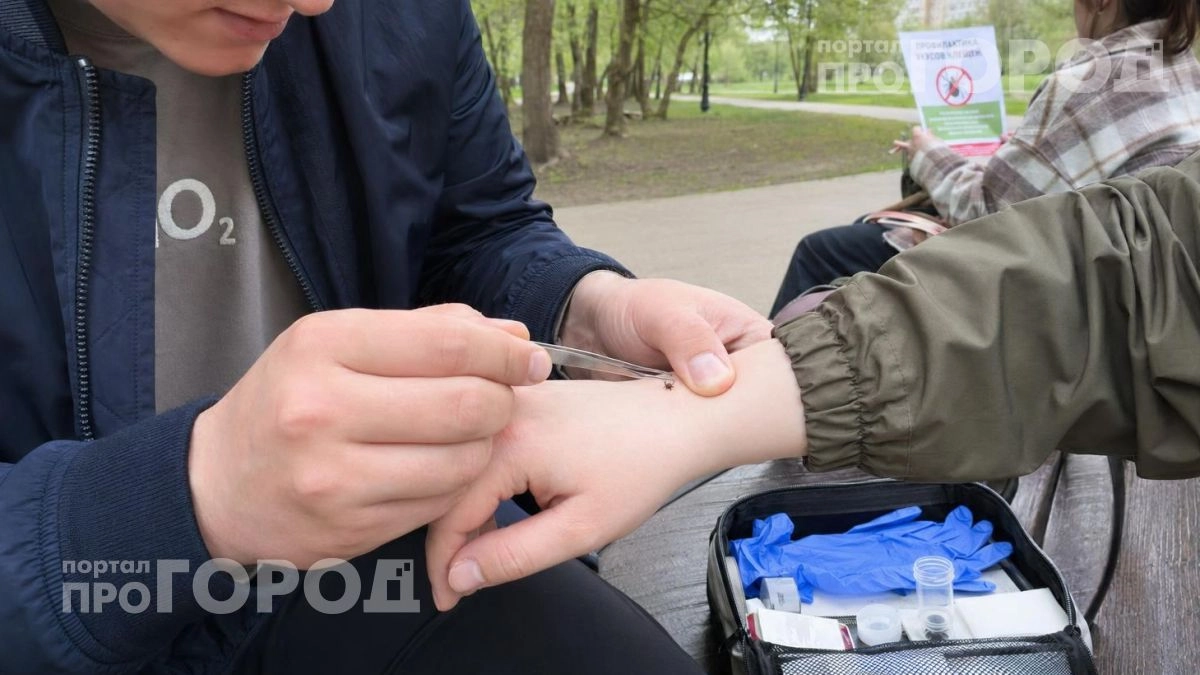Ваша группа крови может стать приманкой для клещей: узнайте, кто в списке жертв и как обезопасить себя