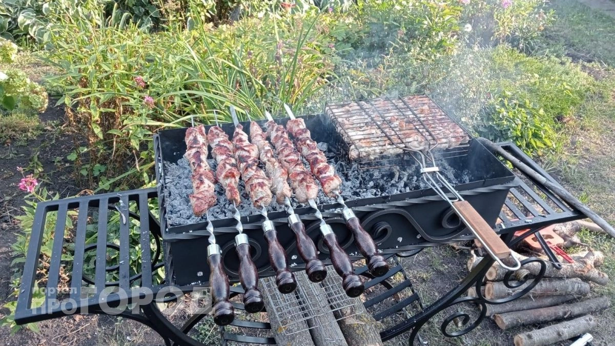 Хватит тратить деньги на свинину: врачи назвали бюджетное мясо для шашлыка, которое очищает сосуды от холестерина