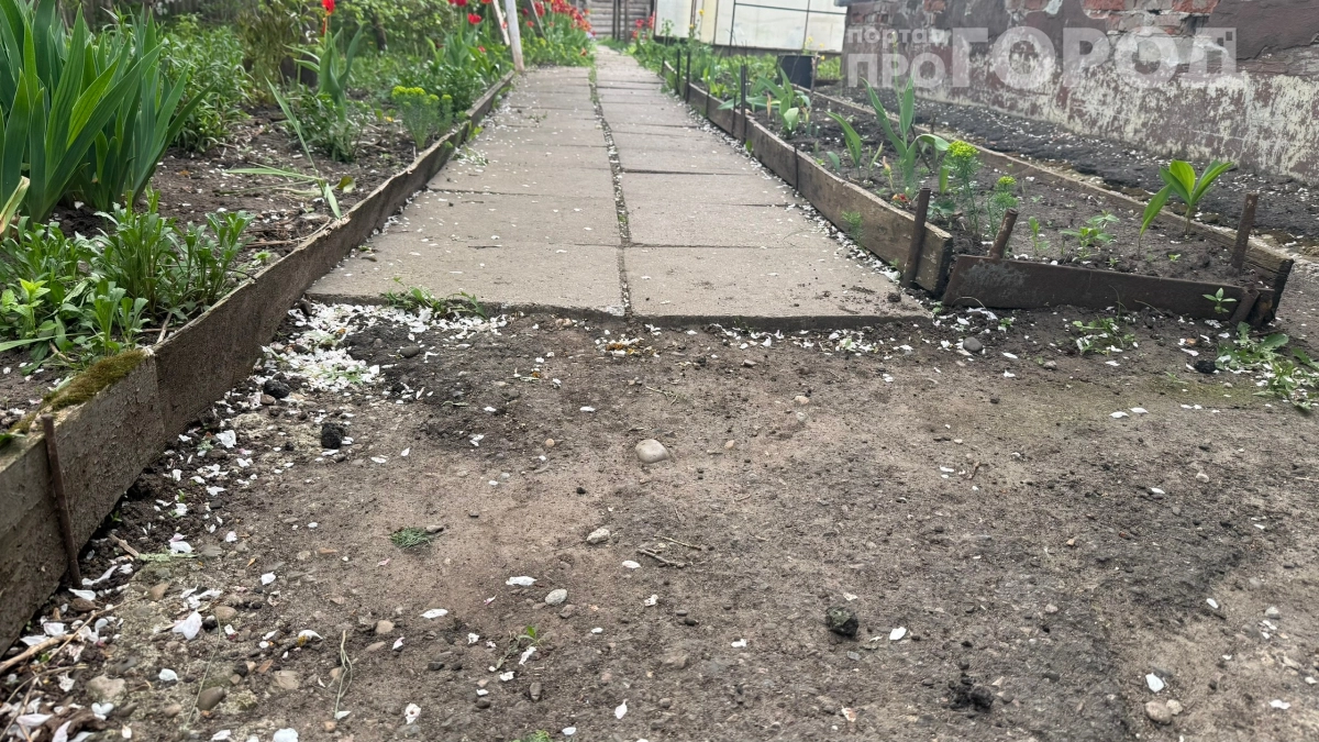 Больше не покупаю дорожки — делаю сама за выходные: 5 вариантов, которые прослужат годами — дёшево и красиво