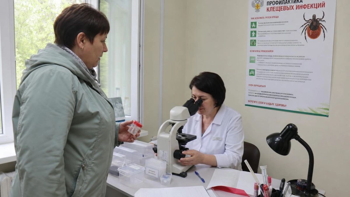 Клещи укусили более 1200 кубанцев с начала года, почти половина — дети