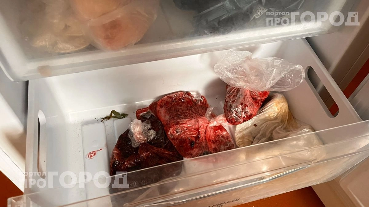 Выкиньте это из морозилки прямо сейчас: 7 популярных продуктов, которые превращаются в полную несъедобную кашу