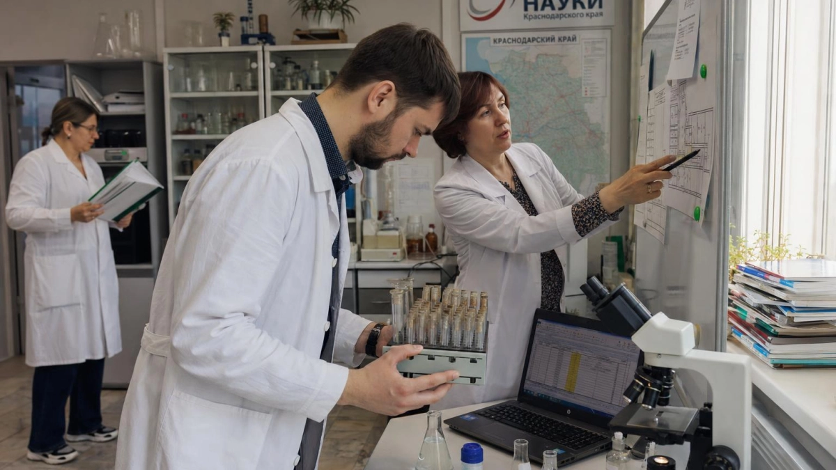Кубанский научный фонд за шесть лет привлёк 340 млн рублей на науку