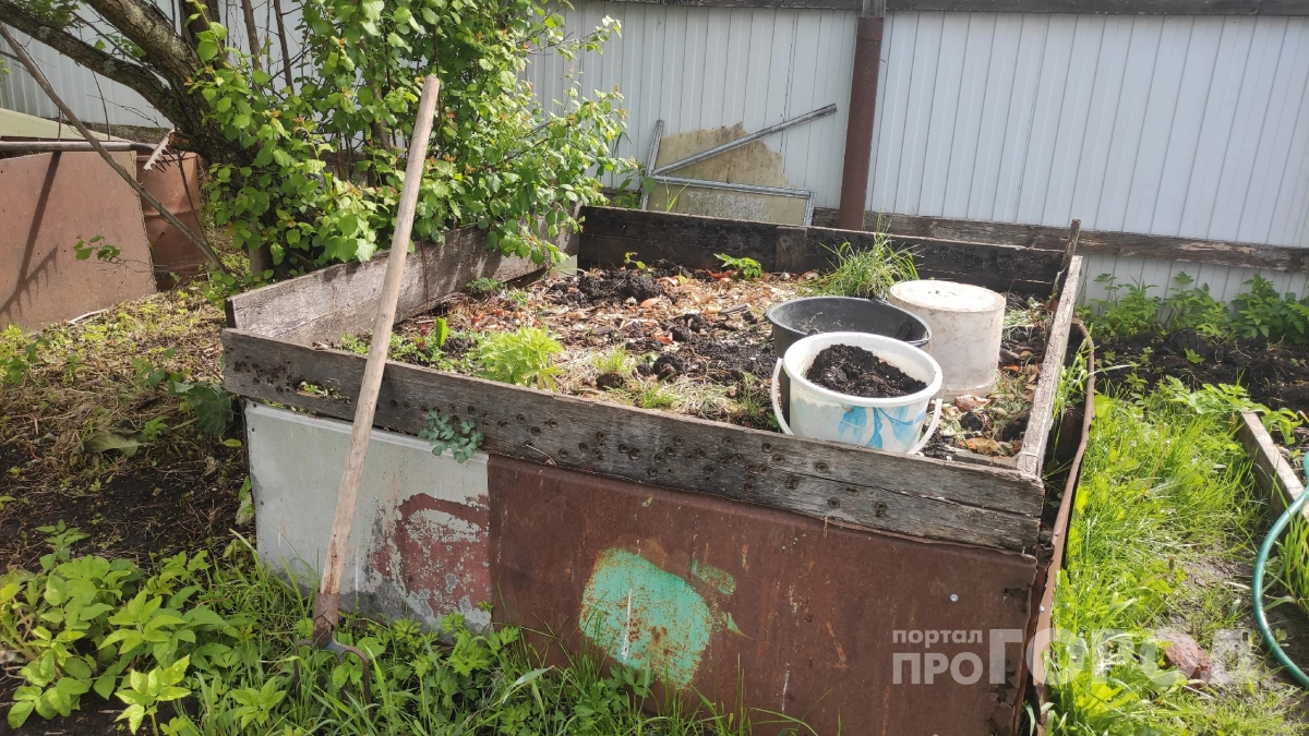 Как превратить отходы в "золото" за пару недель: 6 причин, из-за которых ваша куча просто гниет, а не работает