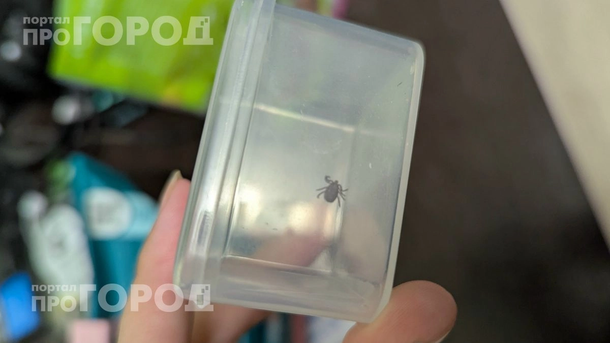 Больше никаких укусов в лесу: нанесите всего две капли этого средства на обувь и забудьте про клещей