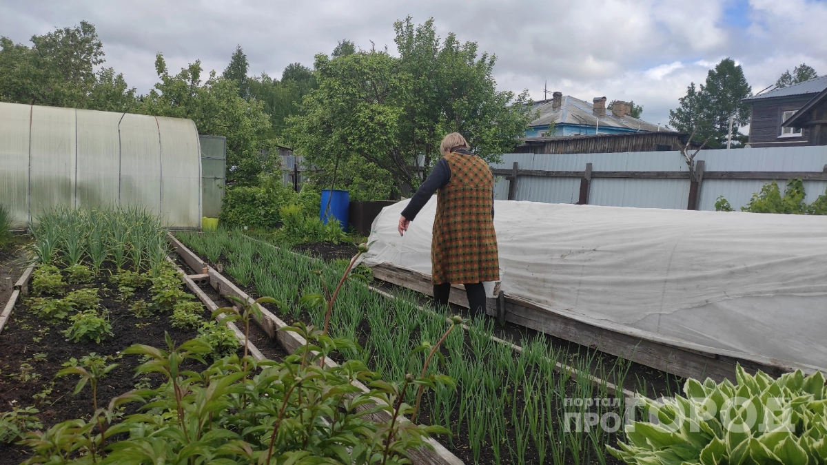 Упустите момент и они захватят весь участок: 12 декоративных агрессоров, которые превратят сад в джунгли
