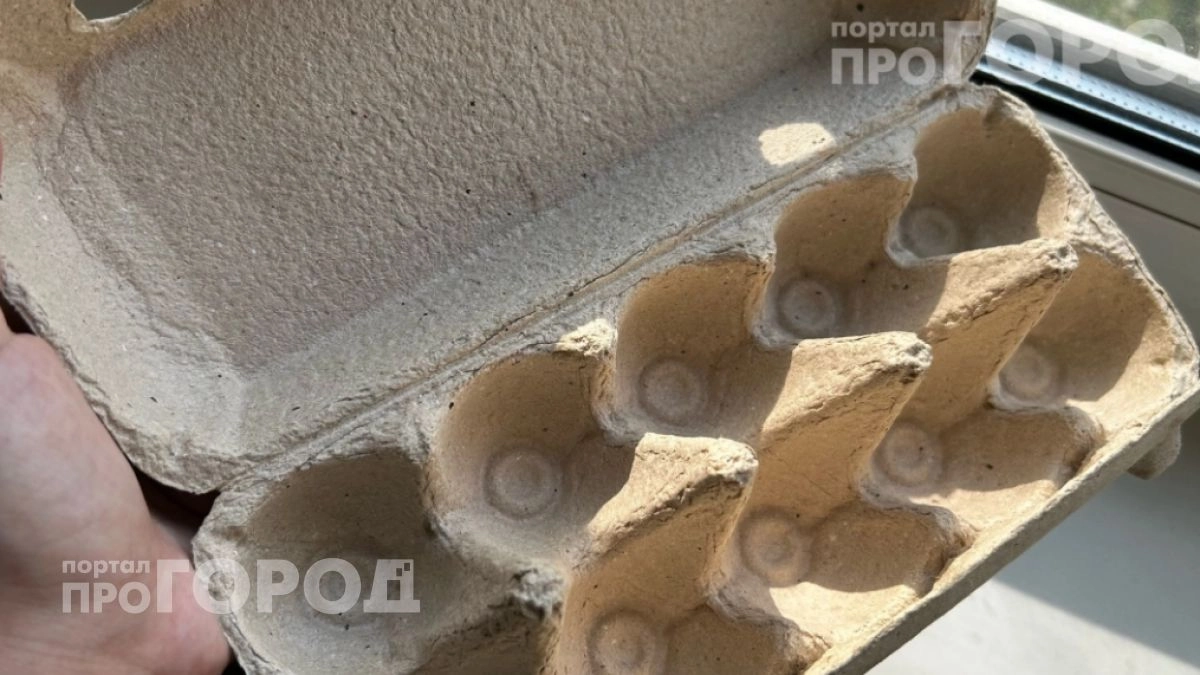Перестала выбрасывать картонные лотки от яиц: они заменят дорогие приспособления для сада и огорода