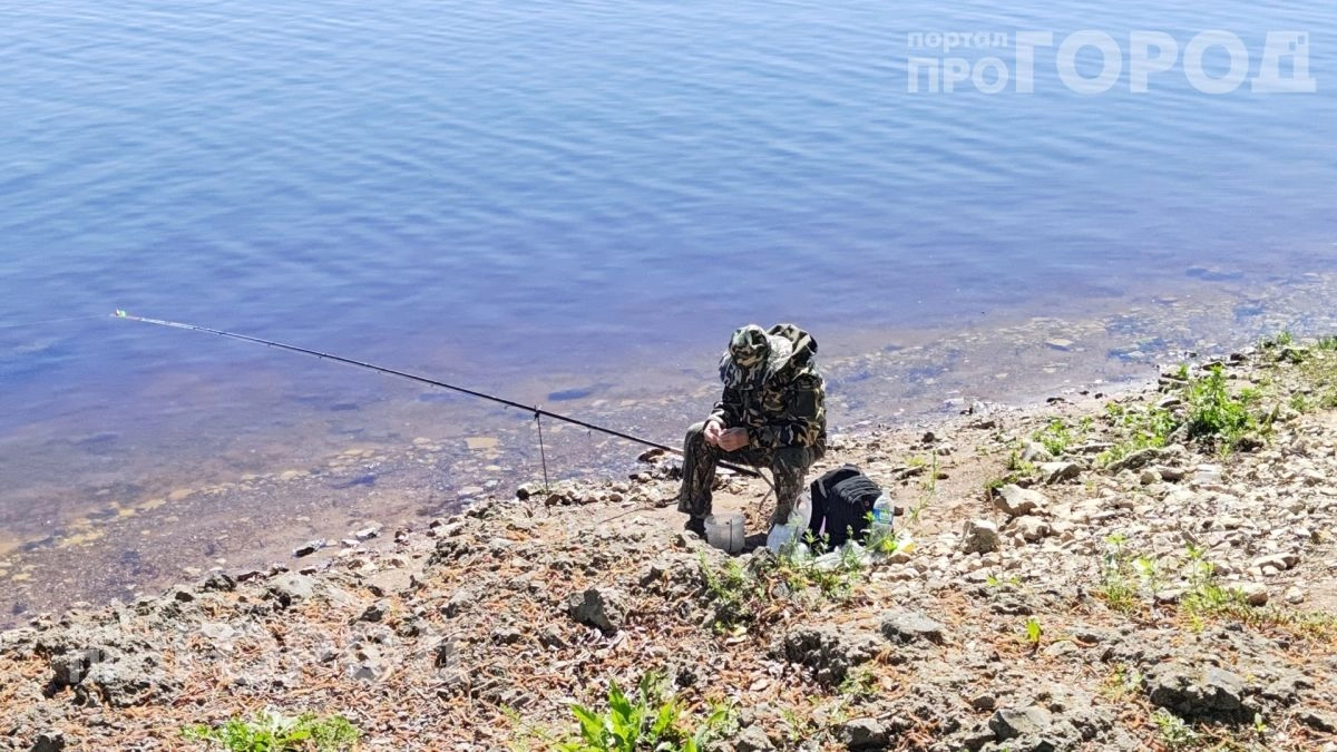 Забудьте про химию: этот копеечный продукт с кухни отпугивает комаров на целые сутки без вреда для здоровья