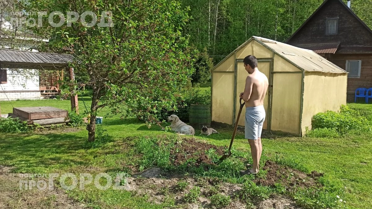Всего одно полотенце на траве: этот простой лайфхак за пару минут поможет вычислить клещей на вашем участке