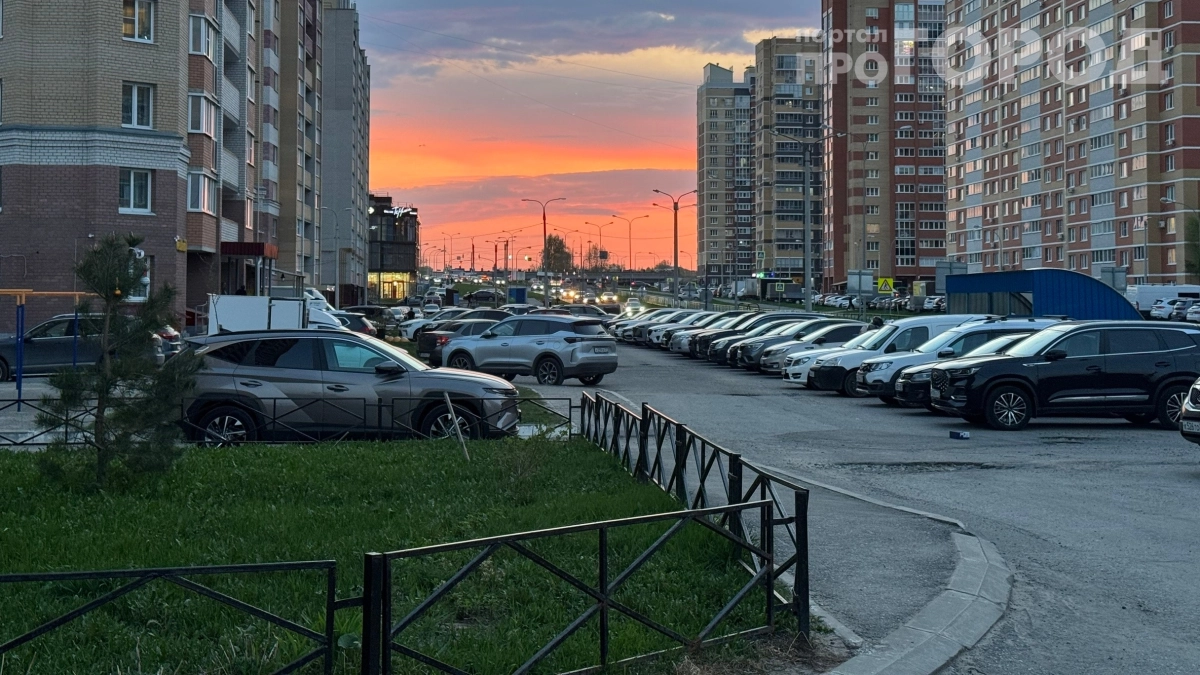 Ездит без номеров целый год — и ни одного штрафа: почему ГАИ не останавливает
