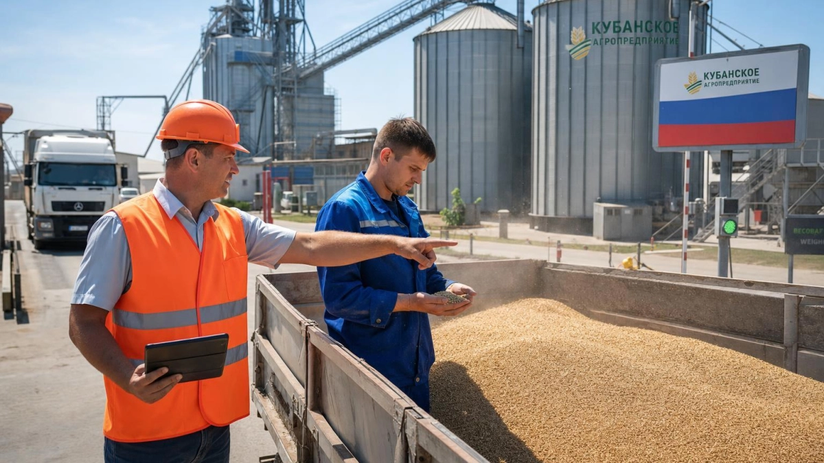 Товарооборот Кубани и Китая вырос на 57% за год
