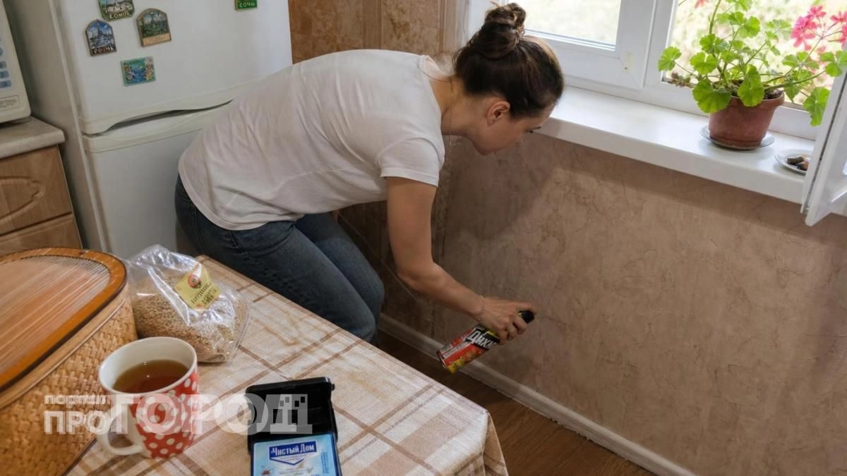 Муравьи покинут участок за одну ночь: просто нанесите это кухонное средство на ватный диск и разложите его