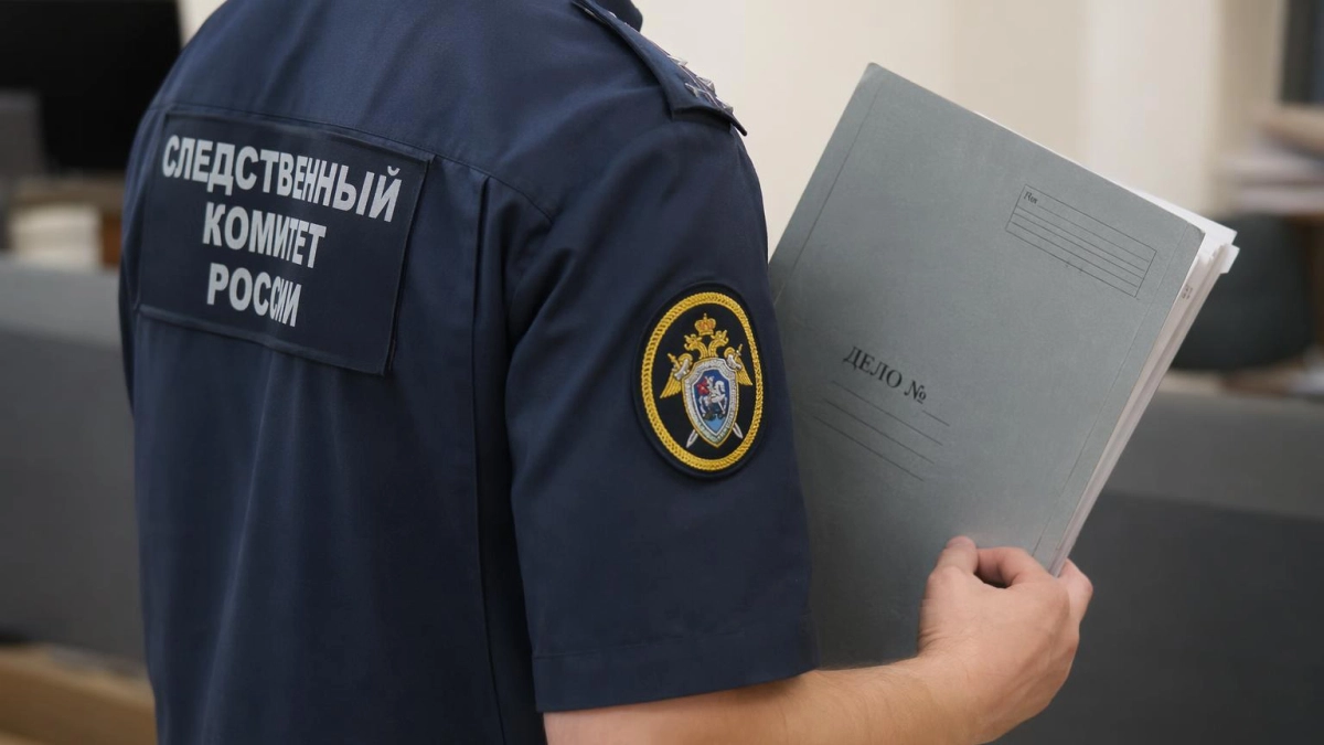 Организатор парома Сочи — Трабзон осужден за вывод 22 млн по поддельным документам