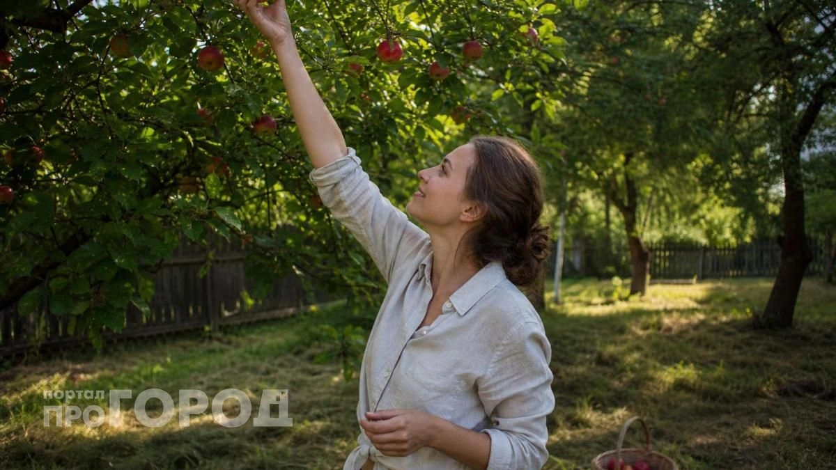 Никакой химии на яблонях больше не нужно: просто повесьте эту копеечную вещь на ветки в июне для защиты урожая