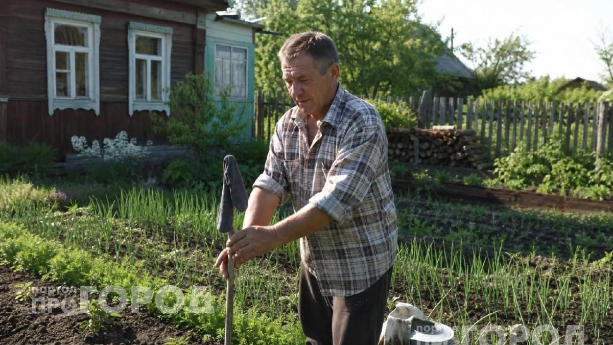 Комары исчезнут с участка за секунды: достаточно одного старого носка на палке для защиты от насекомых