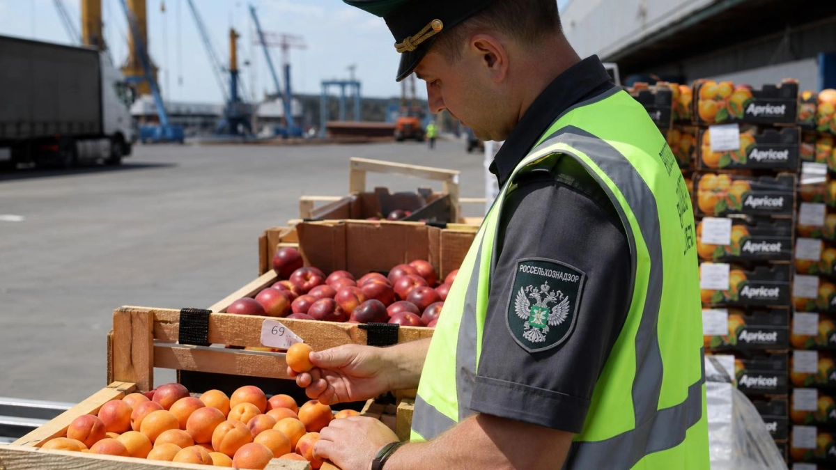 В порту Туапсе задержали 21,6 тонны турецких фруктов с карантинными вредителями