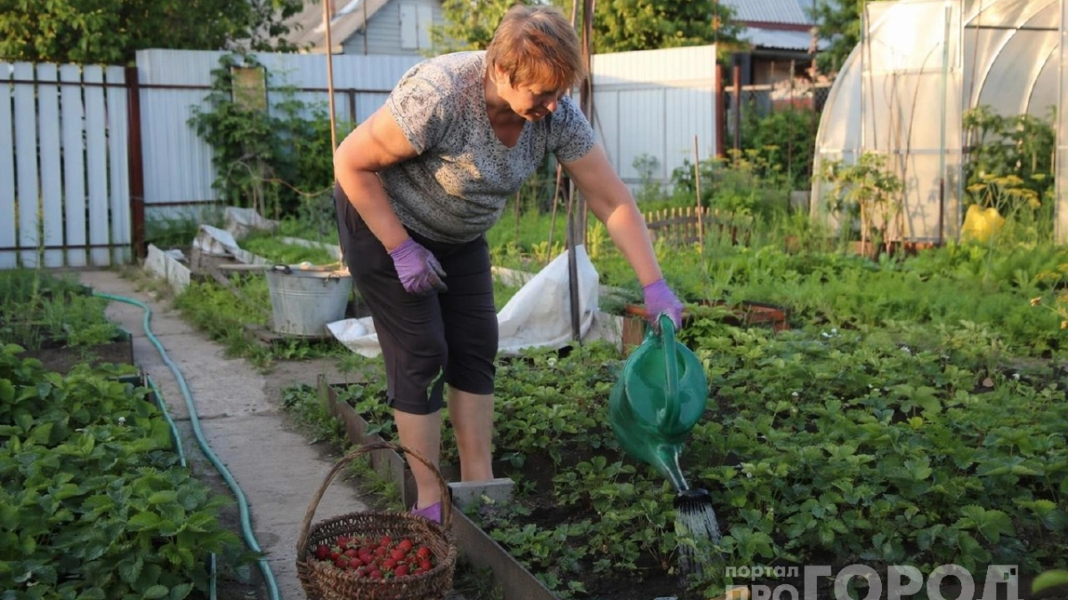 Зачем я закопала на участке 15 шлакоблоков: через месяц соседи стали спрашивать, где я заказывала высокие грядки