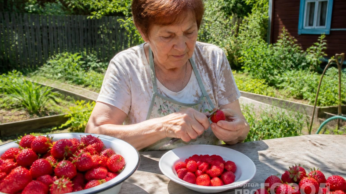 Перестала мириться с “расквашенной” клубникой: делаю заморозку, после которой ягода остаётся плотной и яркой