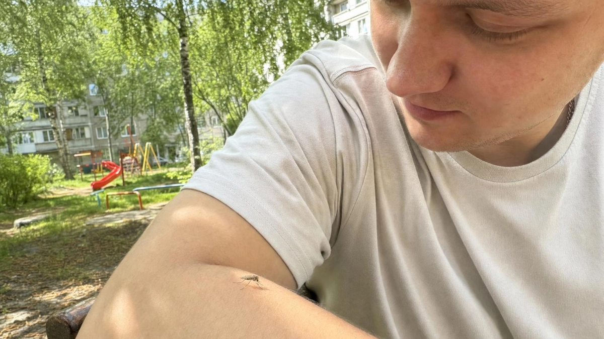 Забудьте про фумигаторы: ловушка за 50 рублей, которая реально спасает от комаров