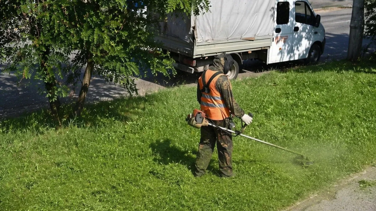 В Краснодаре скосили более 23 тысяч гектаров карантинных сорняков