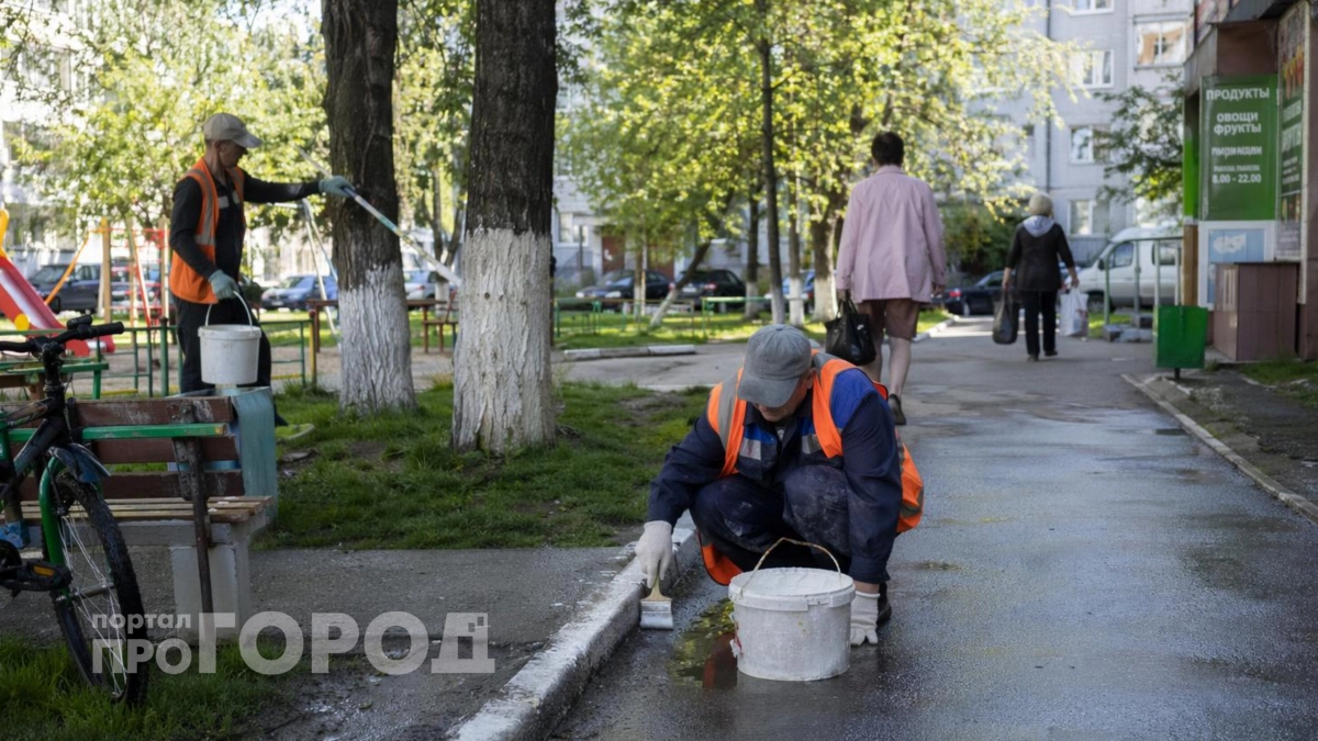 Белая краска на стволах деревьев это не просто эстетика: узнайте какой скрытый смысл скрыт за этим ритуалом