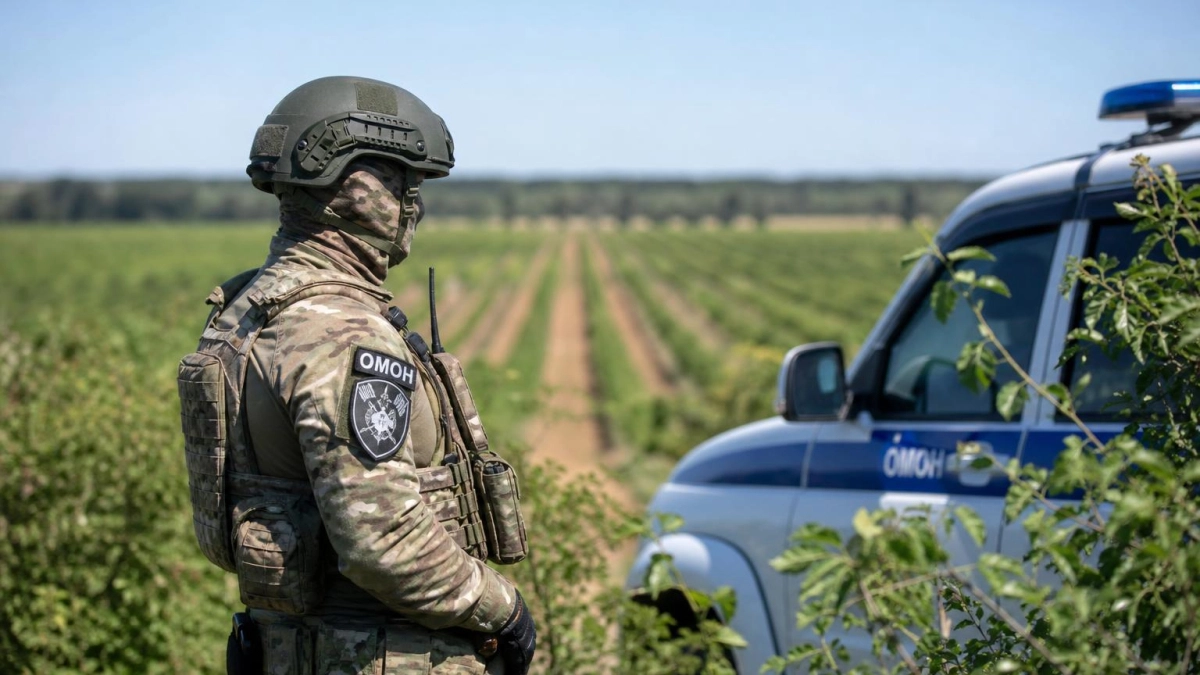 В винограднике под Темрюком нашли артиллерийский снаряд времен Великой Отечественной войны