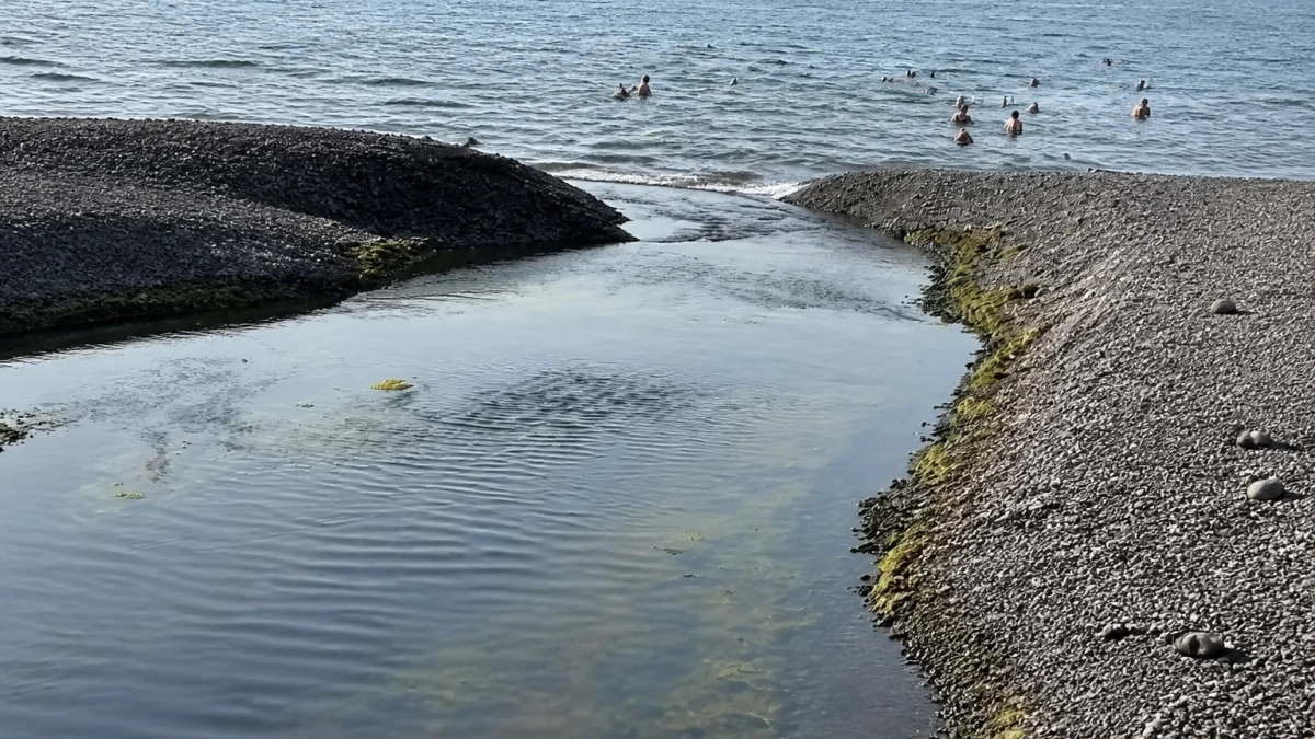 В Суджукской лагуне восстановили водообмен и выход молоди в Черное море