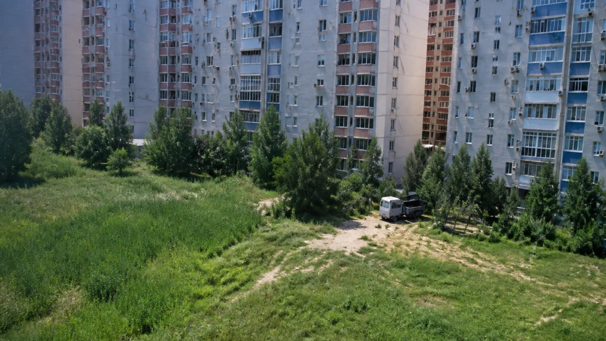 В Краснодаре в пик цветения амброзии выкосили более 30 тыс гектаров