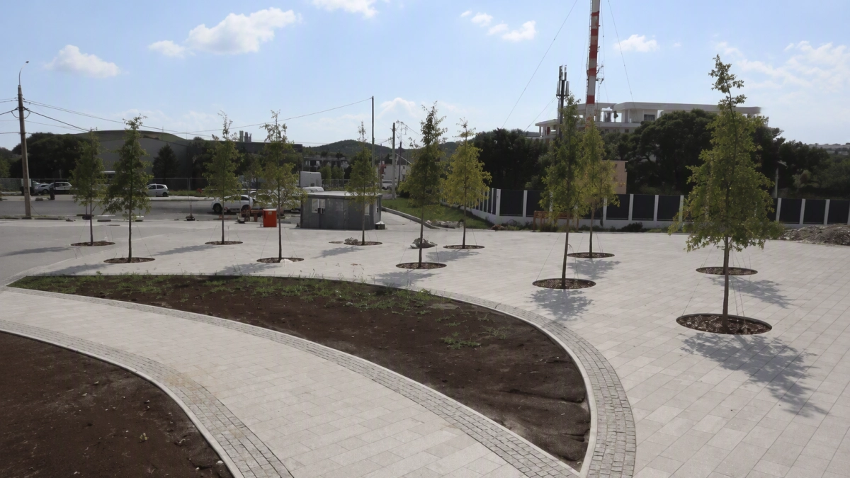 Пергун оценил строительство парка в Геленджике площадью 65 гектаров