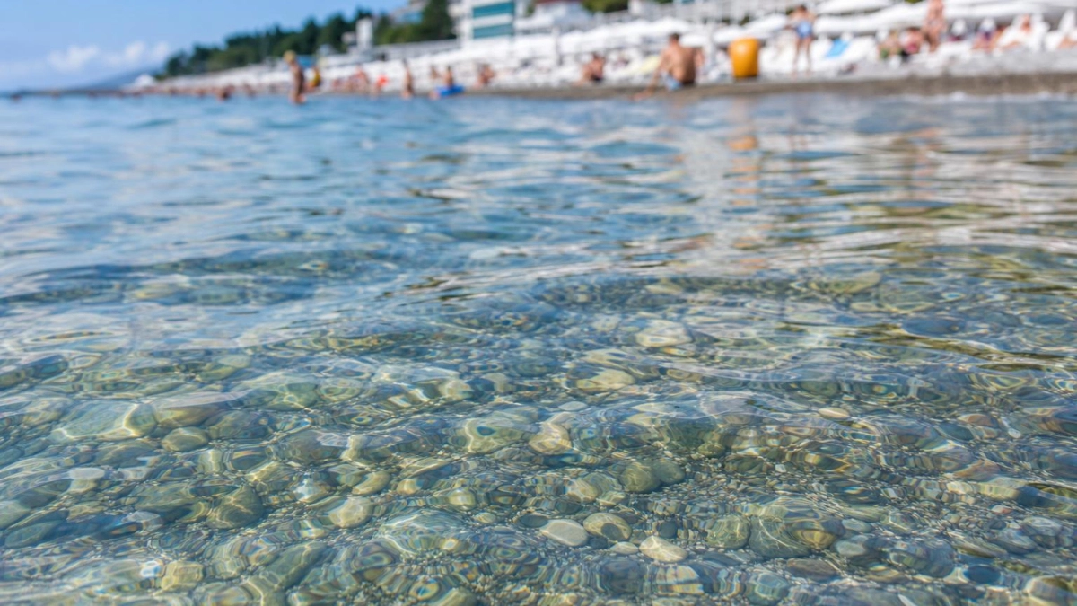 Роспотребнадзор подтвердил безопасность морской воды в Сочи по 36 показателям