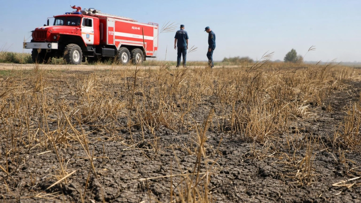 В юго-западных районах Кубани прогнозируют чрезвычайную пожароопасность 5 класса