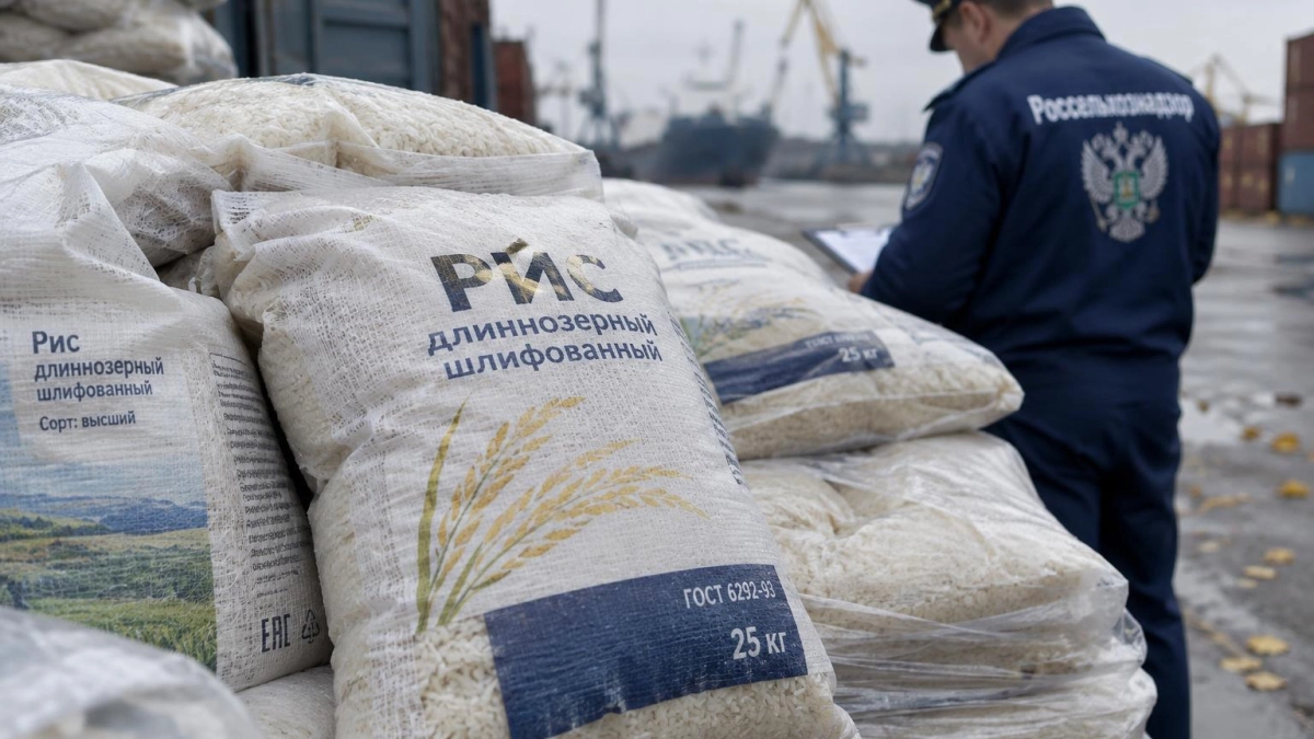 В Новороссийске не пустили партию риса из Турции из-за булавоусого хрущака