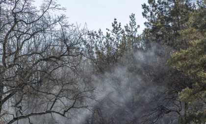 Пожар в Архипо-Осиповке потушили за час в труднодоступной местности